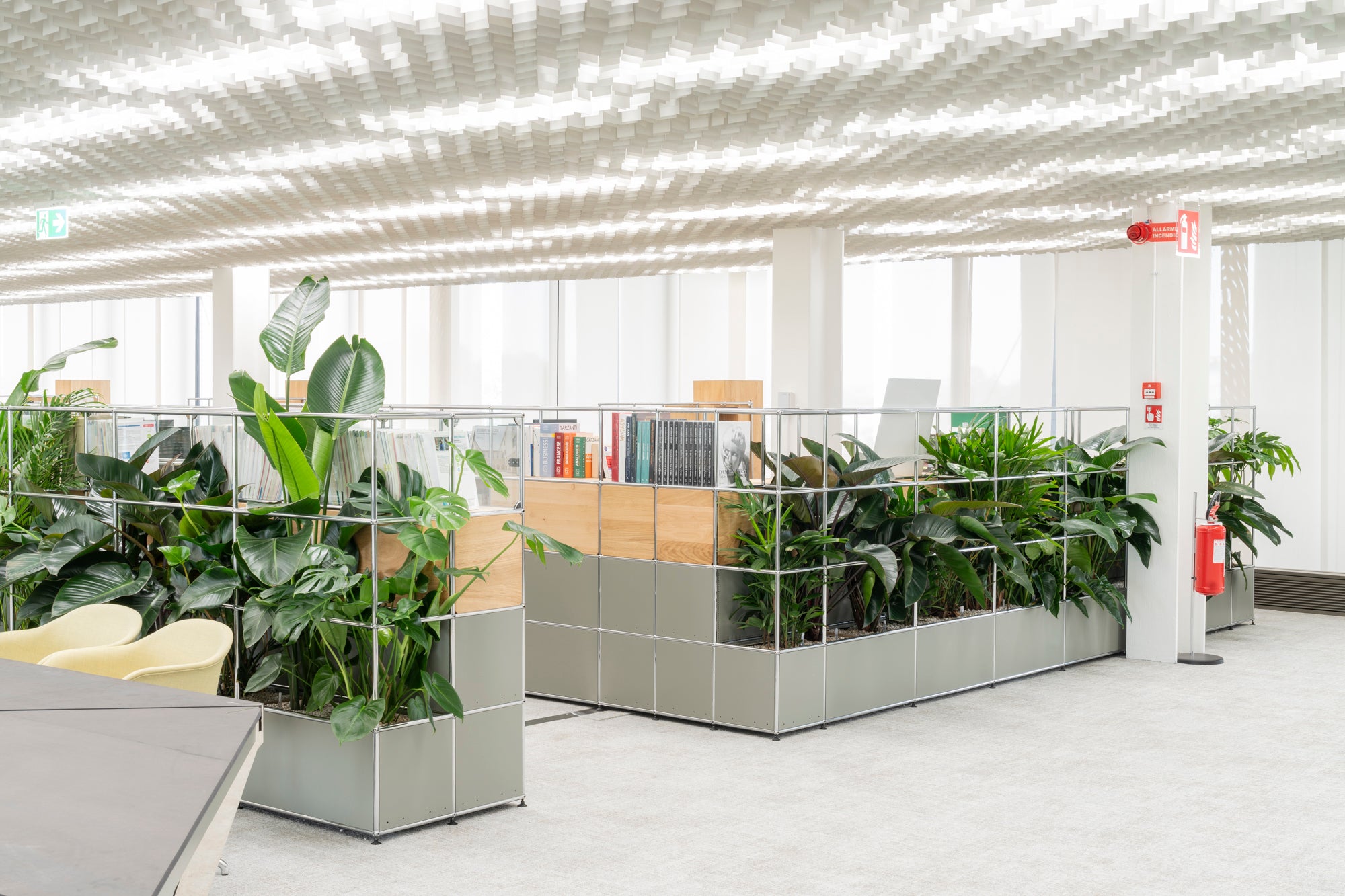 Mykola Office Design Pflanzen