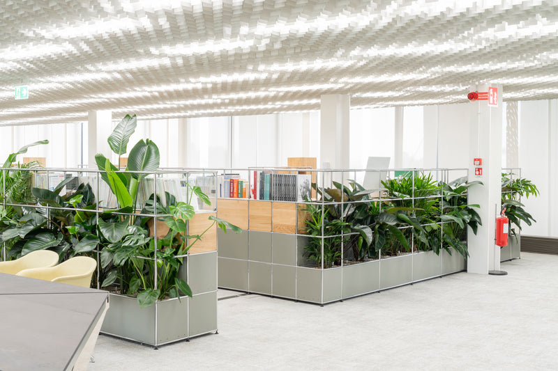 Mykola Office Design Pflanzen