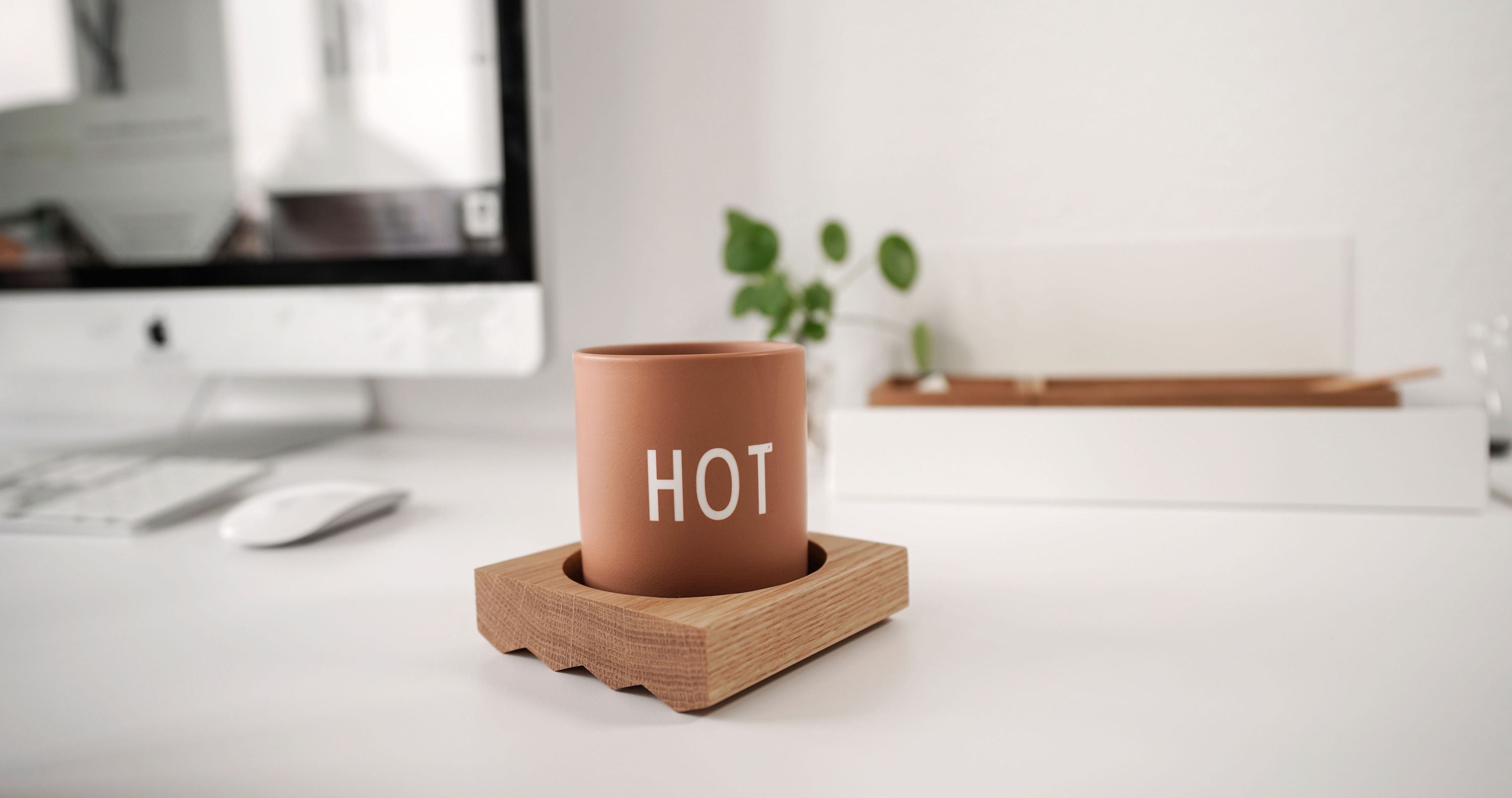 CHASPER Omni